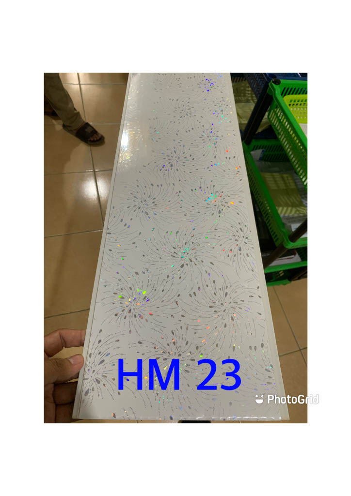 HM023